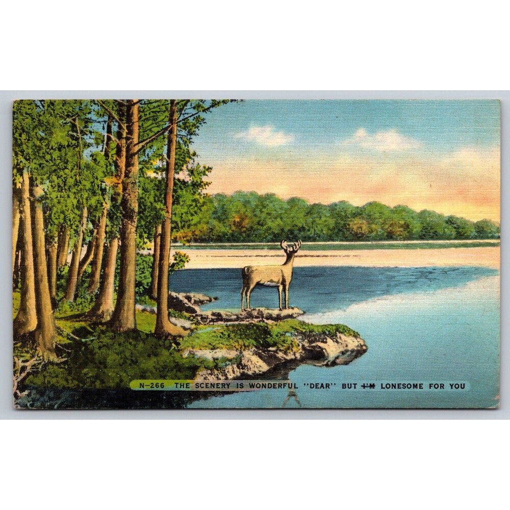 Vintage 1947 Linen Postcard N-266 "Wonderful Deer" Pun Dayton OH to Peoria IL